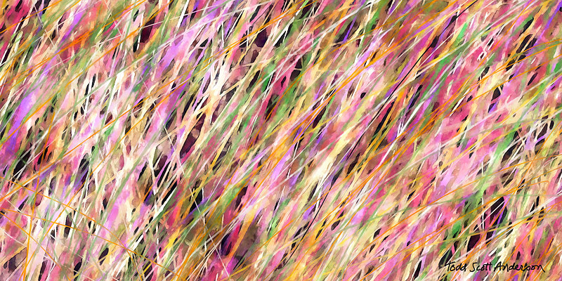 PRAIRIE GRASS 12 P Print PRAIRIE GRASS 12 P by Todd Anderson