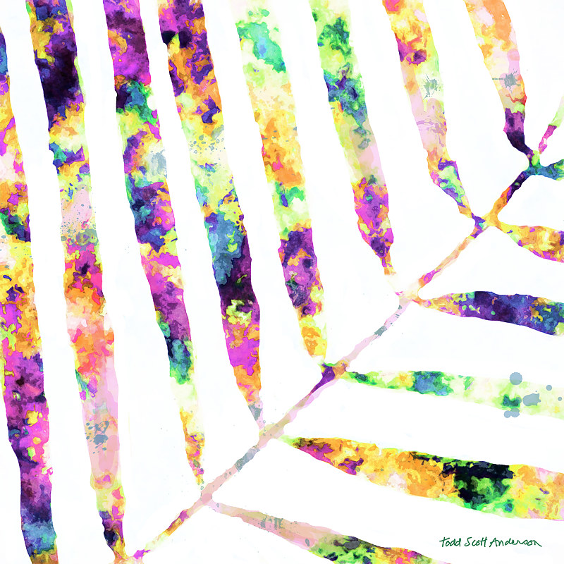 PALM ON WHITE 16 WP Print PALM ON WHITE 16 WP by Todd Scott Anderson