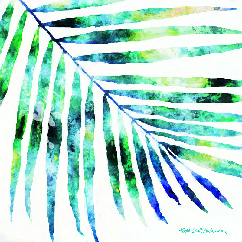 PALM ON WHITE 10 WP Print PALM ON WHITE 10 WP by Todd Scott Anderson