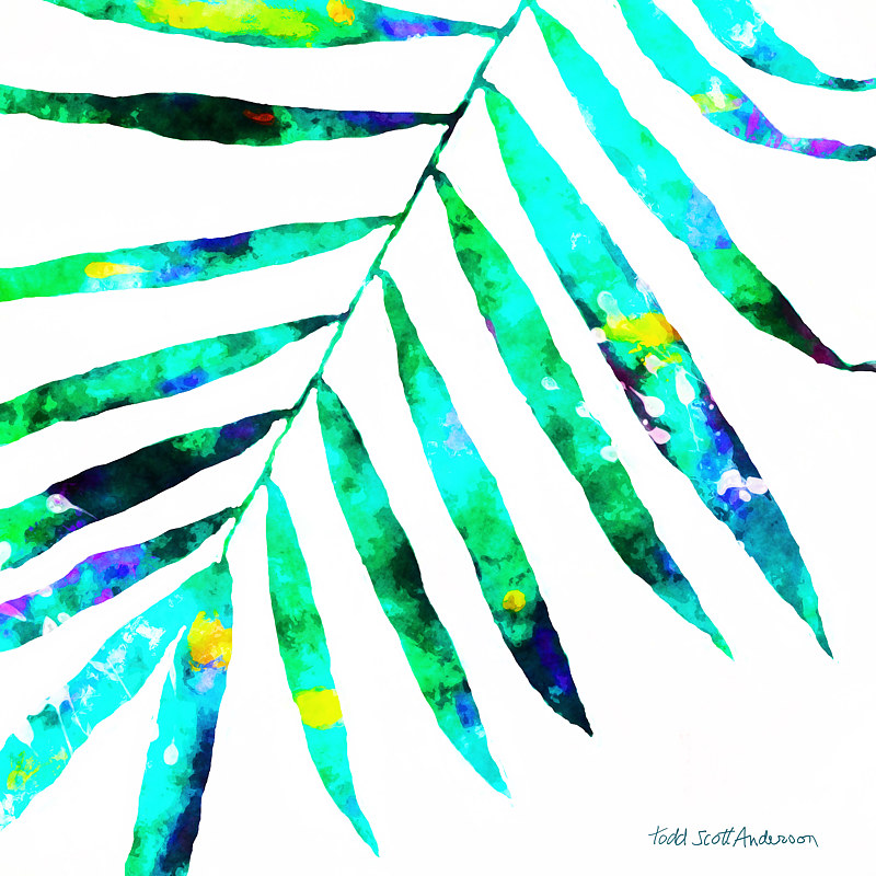PALM ON WHITE 9 WP Print PALM ON WHITE 9 WP by Todd Scott Anderson