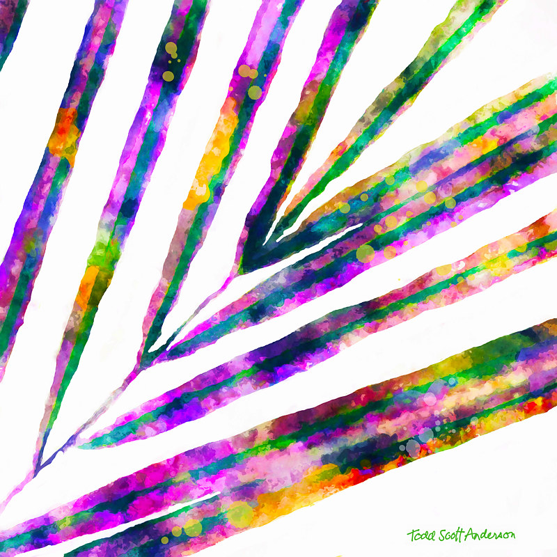 PALM ON WHITE 5 WP Print PALM ON WHITE 5 WP by Todd Scott Anderson