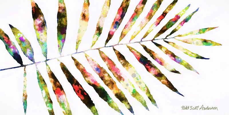 PALM ON WHITE 1 WP Print PALM ON WHITE 1 WP by Todd Anderson
