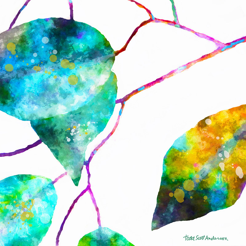 FICUS ON WHITE 5 WF Print FICUS ON WHITE 5 WF by Todd Scott Anderson