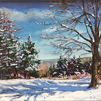 New England Winter //images.artistrunwebsite.com/gallery/img_2392741501788328_large.jpg?1550879136