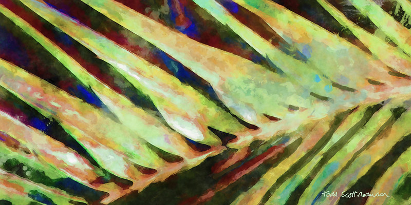 PALM 33 T Print PALM 33 T by Todd Scott Anderson