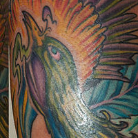 Phoenix Tattoo //images.artistrunwebsite.com/gallery/img_24051343954029_large.jpg?1499946665