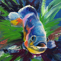 Oscar //images.artistrunwebsite.com/gallery/img_2409241503171342_large.jpg?1548648305
