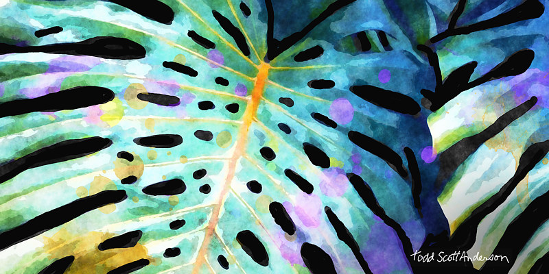 TROPIC FLORA 28 T Print TROPIC FLORA 28 T by Todd Anderson