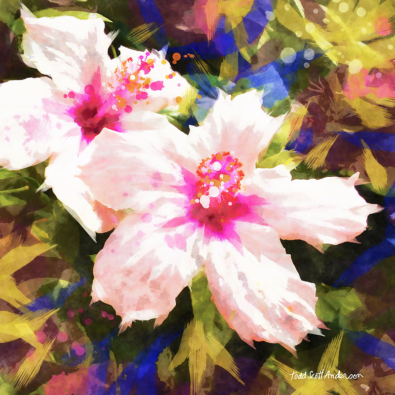TROPIC FLORA 5 T Print TROPIC FLORA 5 T by Todd Scott Anderson