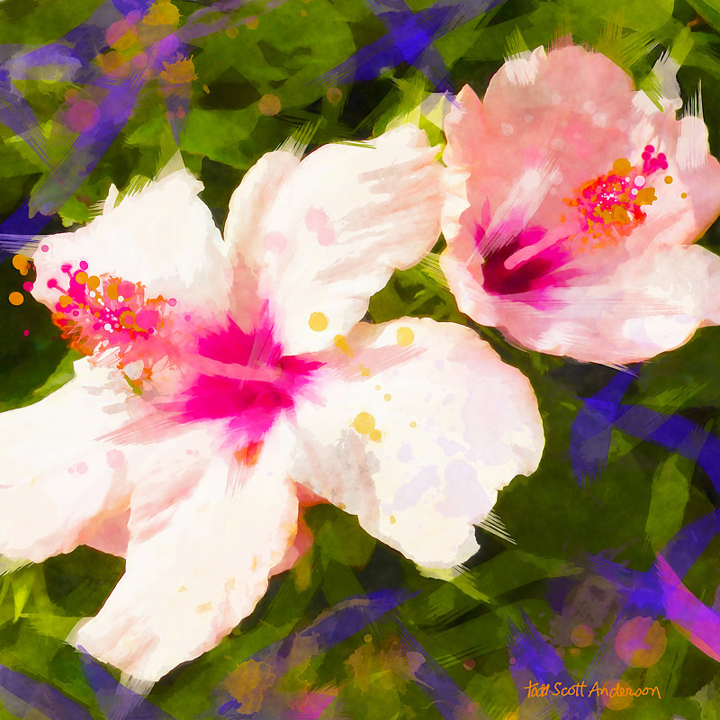TROPIC FLORA 9 T Print TROPIC FLORA 9 T by Todd Scott Anderson