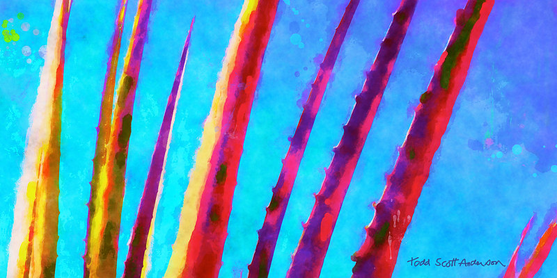 MOJAVE CACTUS 9 D Print MOJAVE CACTUS 9 D by Todd Scott Anderson