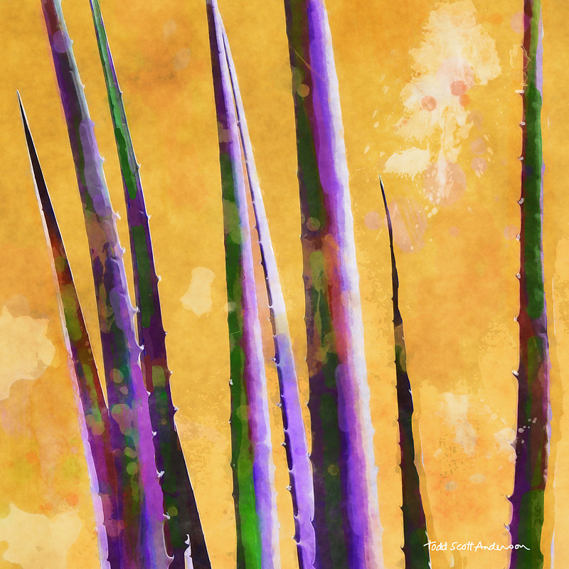 MOJAVE CACTUS 12 D Print MOJAVE CACTUS 12 D by Todd Scott Anderson