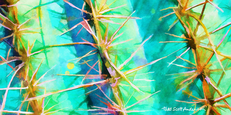 SONORA SAGUARO 7 D Print SONORA SAGUARO 7 D by Todd Scott Anderson