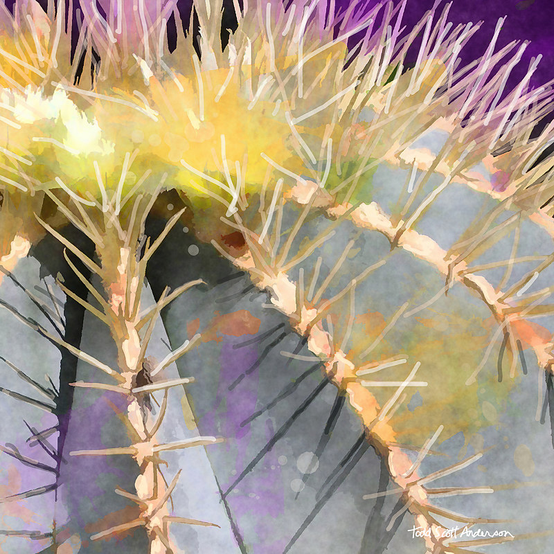 MOJAVE CACTUS 17 D Print MOJAVE CACTUS 17 D by Todd Scott Anderson