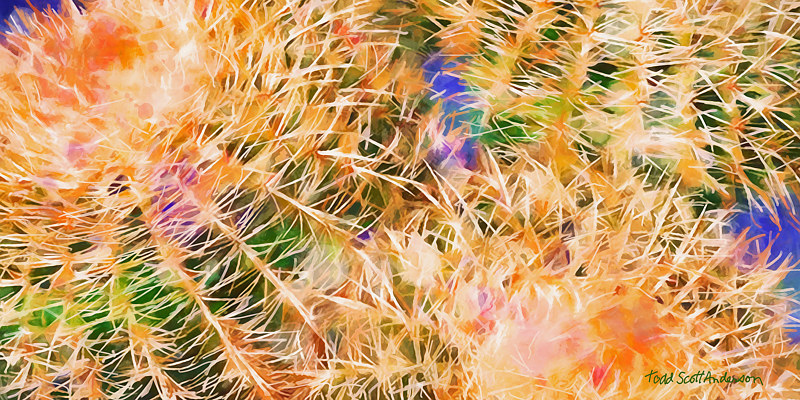 MOJAVE CACTUS 25 D Print MOJAVE CACTUS 25 D by Todd Scott Anderson