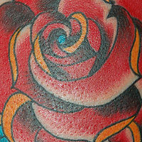 Rose Tattoo //images.artistrunwebsite.com/gallery/img_24151343954163_large.jpg?1499946632