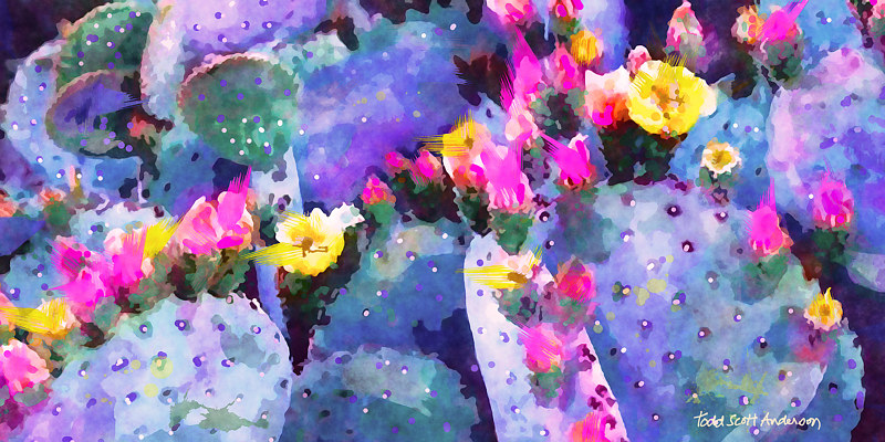 MOJAVE CACTUS 23 D Print MOJAVE CACTUS 23 D by Todd Scott Anderson