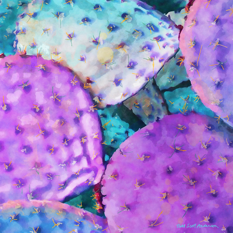SONORA CACTUS 17 D Print SONORA CACTUS 17 D by Todd Scott Anderson