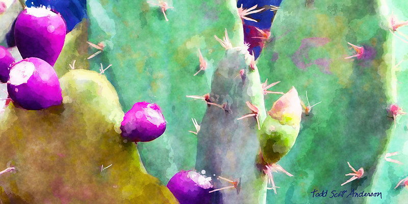 SONORA CACTUS 11 D Print SONORA CACTUS 11 D by Todd Scott Anderson