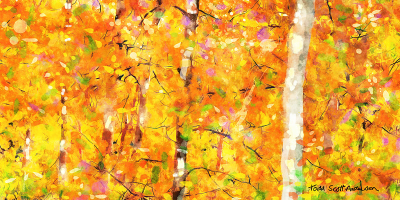 ASPENS 26 M Print ASPENS 26 M by Todd Scott Anderson