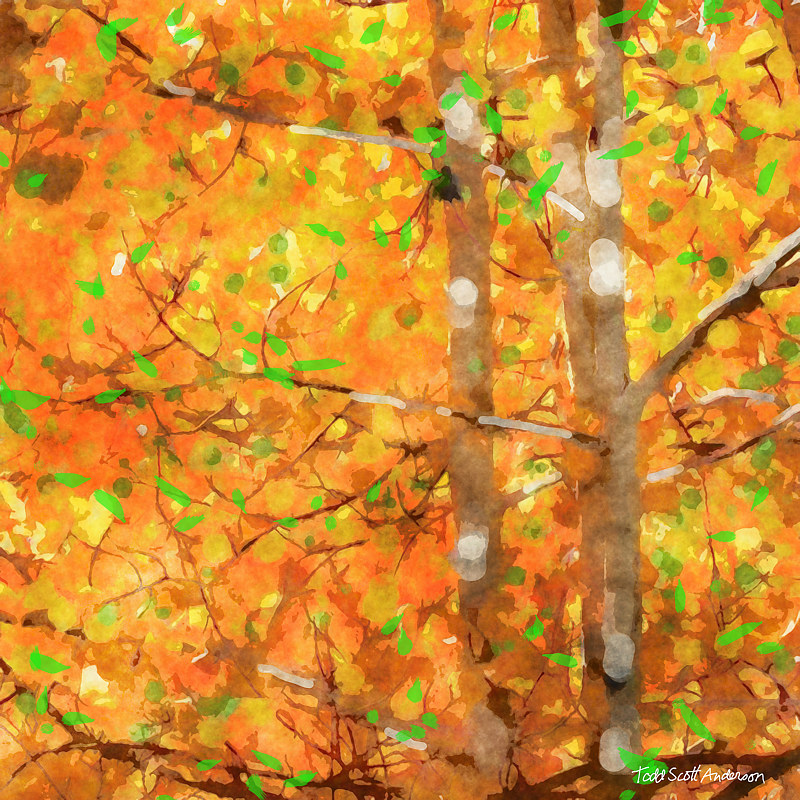 ASPENS 28 M Print ASPENS 28 M by Todd Scott Anderson