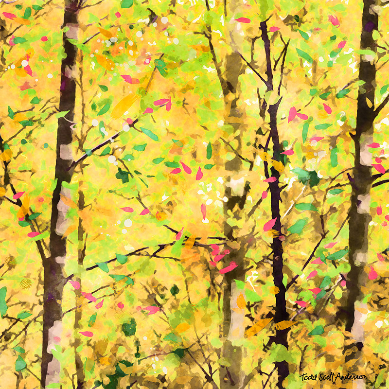 ASPENS 27 M Print ASPENS 27 M by Todd Scott Anderson