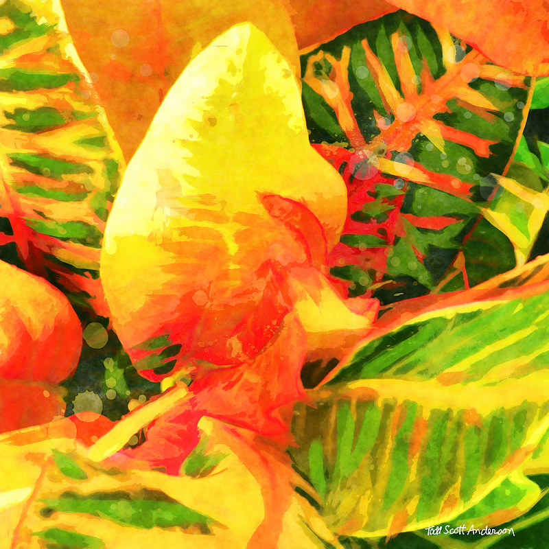 TROPIC FLORA 43 T Print TROPIC FLORA 43 T by Todd Scott Anderson