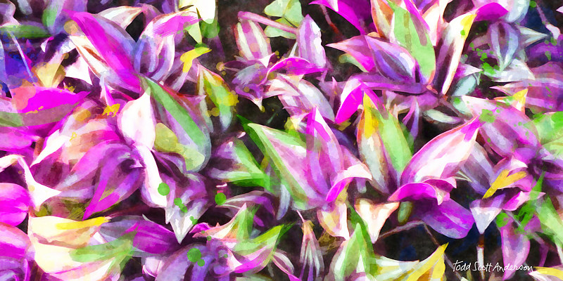 TROPIC FLORA 49 T Print TROPIC FLORA 49 T by Todd Scott Anderson