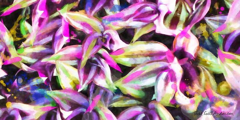 TROPIC FLORA 48 T Print TROPIC FLORA 48 T by Todd Scott Anderson