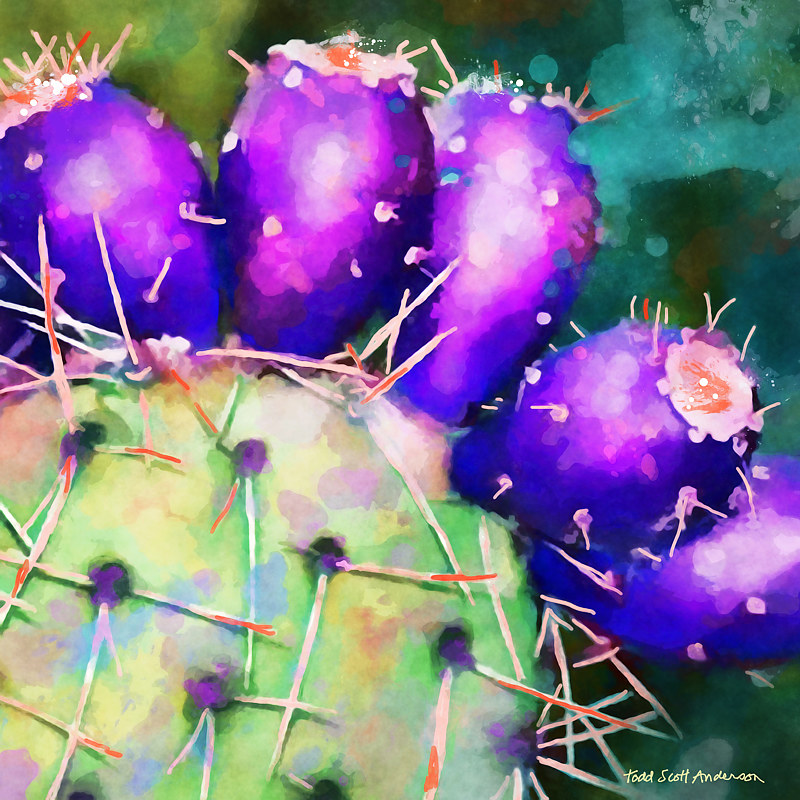 SONORA CACTUS 4 D Print SONORA CACTUS 4 D by Todd Scott Anderson