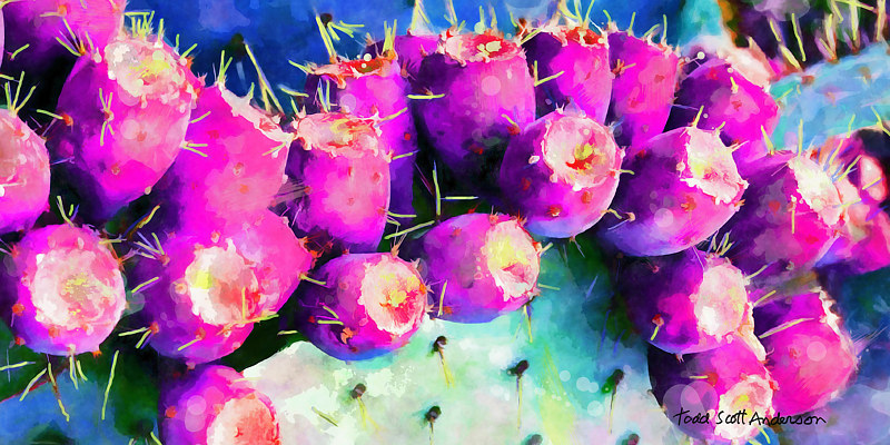 SONORA CACTUS 12 D Print SONORA CACTUS 12 D by Todd Scott Anderson