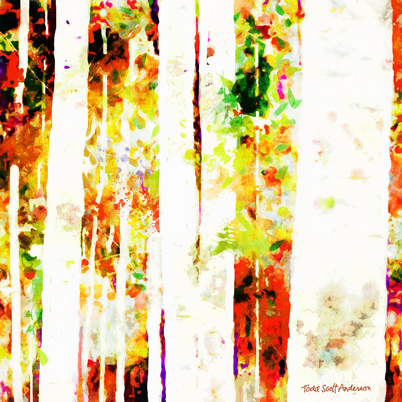 ASPENS 22 M Print ASPENS 22 M by Todd Scott Anderson
