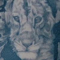 Cub Tattoo //images.artistrunwebsite.com/gallery/img_24211343954194_large.jpg?1425004709