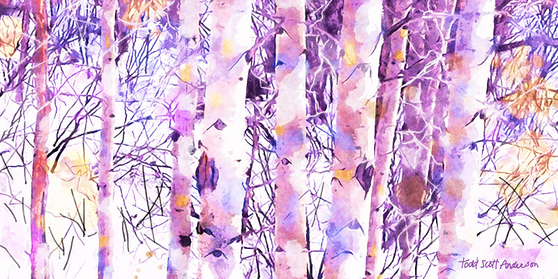 ASPENS 17 M Print ASPENS 17 M by Todd Scott Anderson