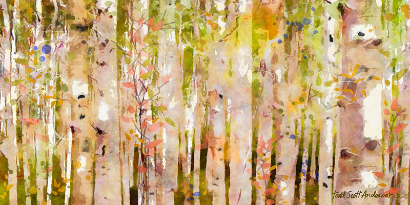 ASPENS 4 M Print ASPENS 4 M by Todd Scott Anderson