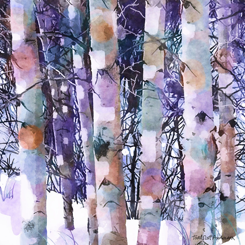 ASPENS 23 M Print ASPENS 23 M by Todd Scott Anderson