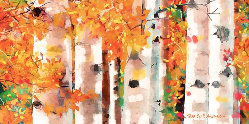 ASPENS 35 M Print ASPENS 35 M by Todd Scott Anderson