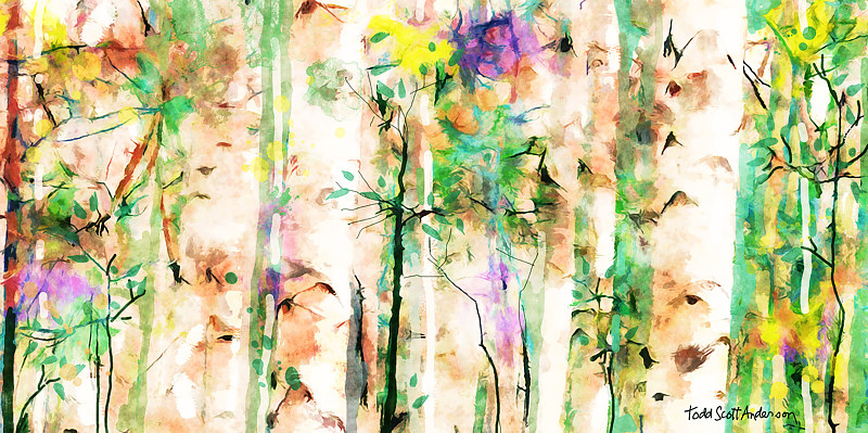 ASPENS 31 M Print ASPENS 31 M by Todd Scott Anderson