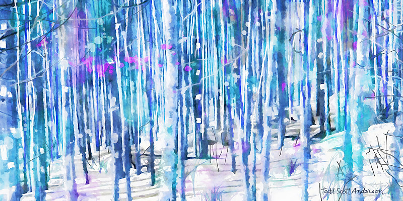 ASPENS 29 M Print ASPENS 29 M by Todd Scott Anderson
