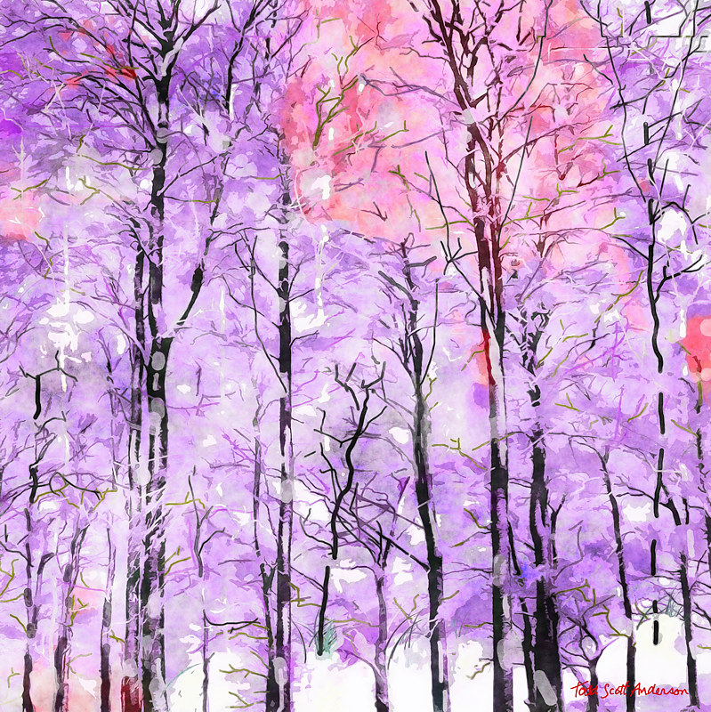 ASPENS 34 M Print ASPENS 34 M by Todd Scott Anderson