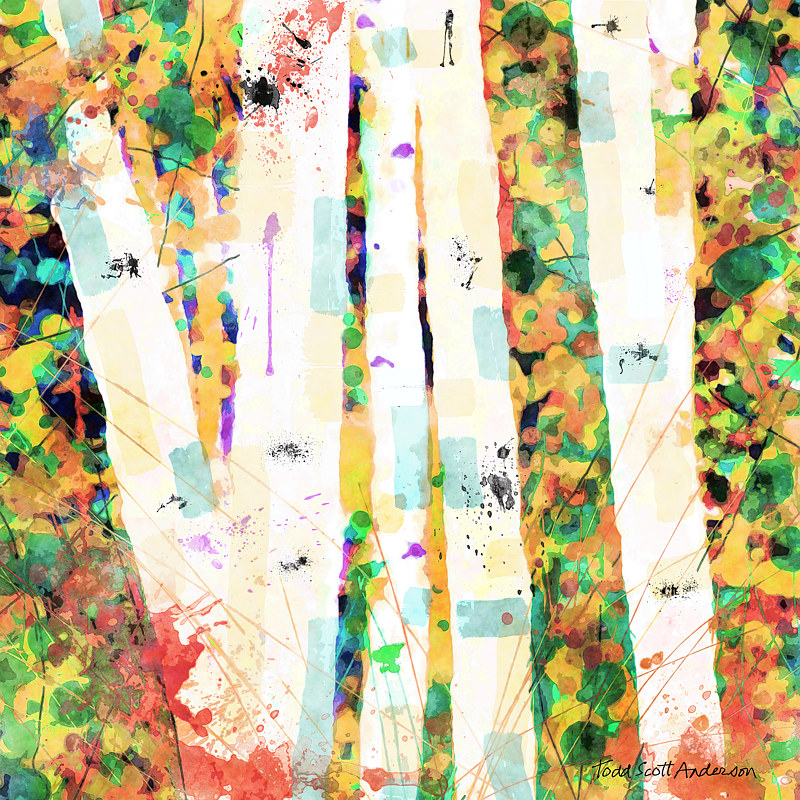 ASPENS 15 M Print ASPENS 15 M by Todd Scott Anderson