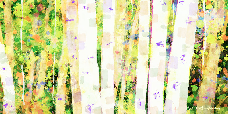 ASPENS 6 M Print ASPENS 6 M by Todd Scott Anderson