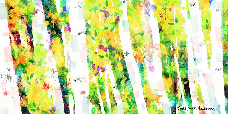 ASPENS 14 M Print ASPENS 14 M by Todd Scott Anderson