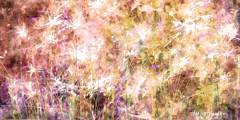 MOUNTAIN MEADOW 11 M Print MOUNTAIN MEADOW 11 M by Todd Anderson