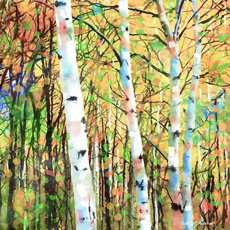ASPENS 24 M Print ASPENS 24 M by Todd Scott Anderson