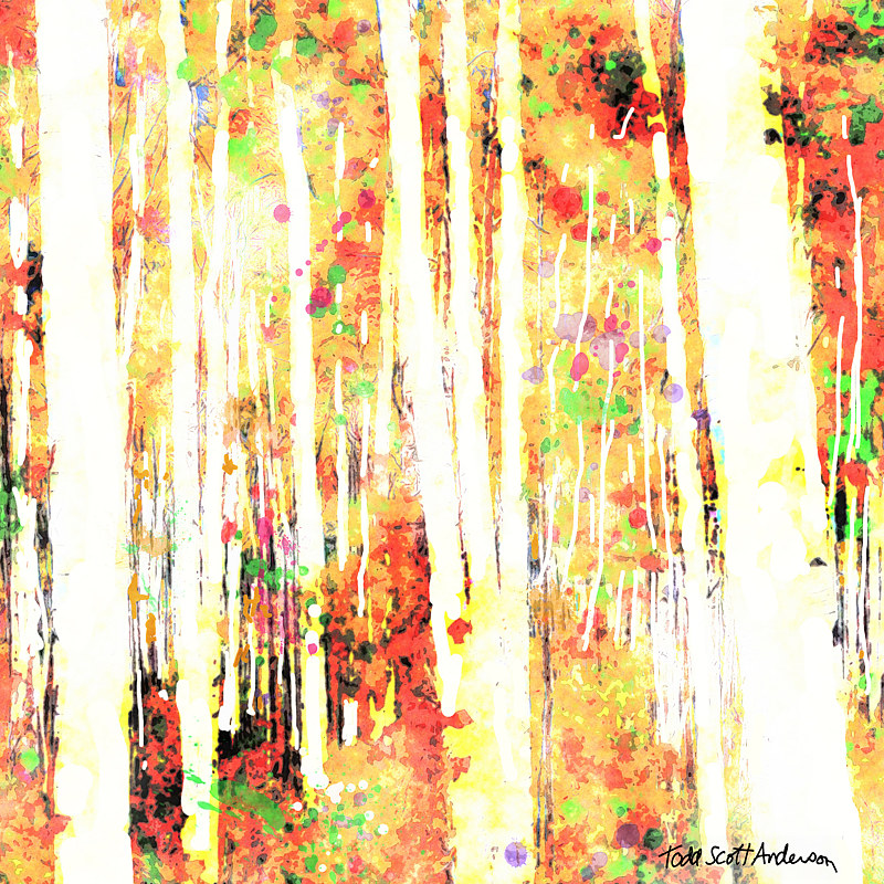 ASPENS 5 M Print ASPENS 5 M by Todd Scott Anderson