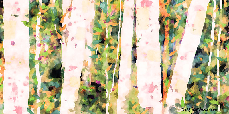 ASPENS 20 M Print ASPENS 20 M by Todd Scott Anderson