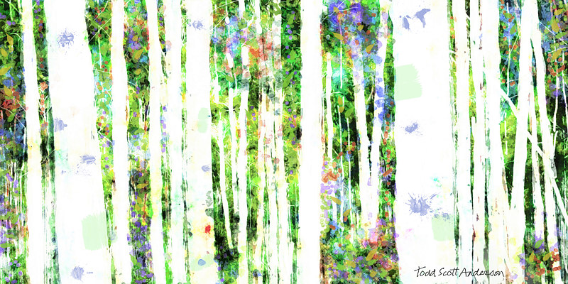 ASPENS 12 M Print ASPENS 12 M by Todd Scott Anderson