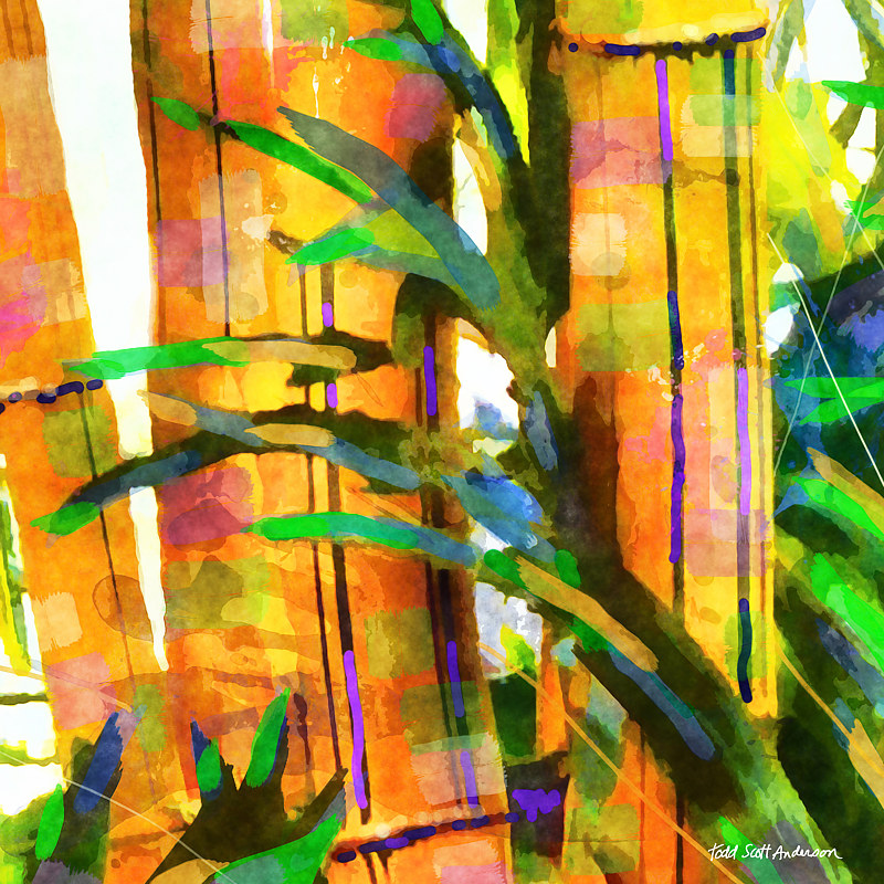BAMBOO 18 T Print BAMBOO 18 T by Todd Scott Anderson