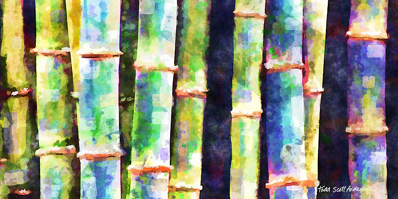 BAMBOO 9 T Print BAMBOO 9 T by Todd Scott Anderson